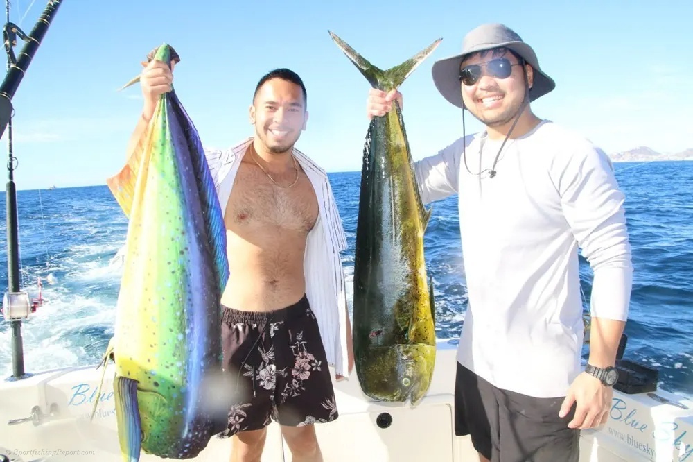Cabo Dorado Action Brings the Thrills!
