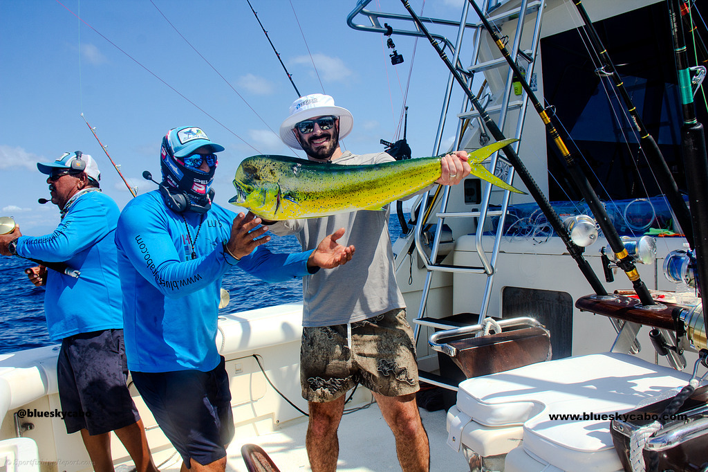 Dorado Hookup Sets the Deck Buzzing!