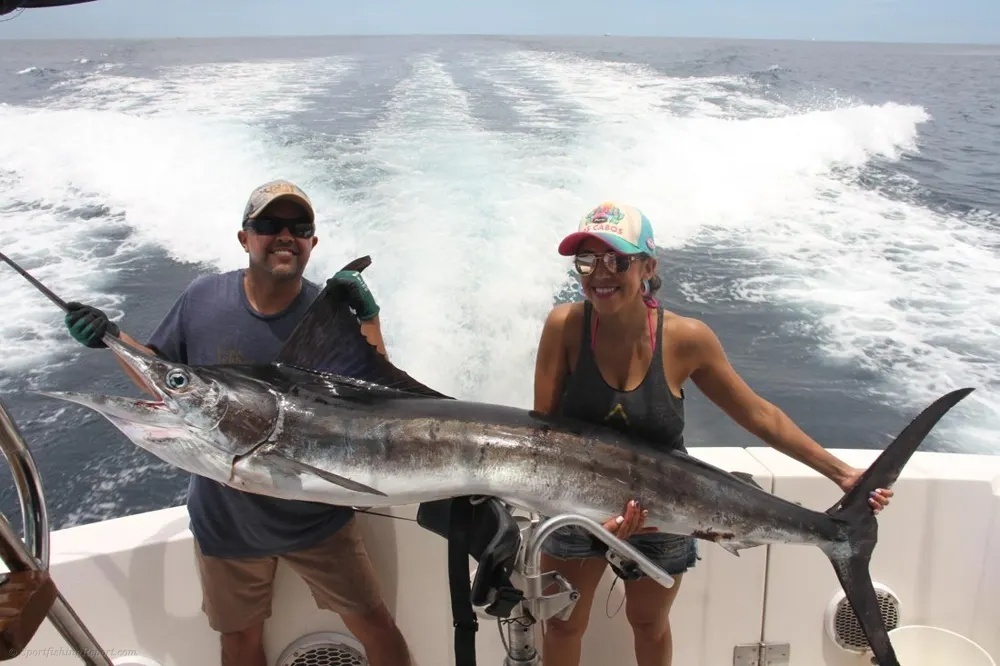 Giant Billfish, Unforgettable Fight!