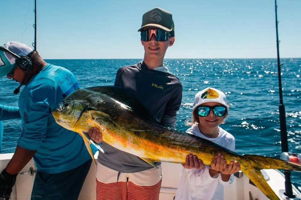 Golden Dorado Brings the Excitement!