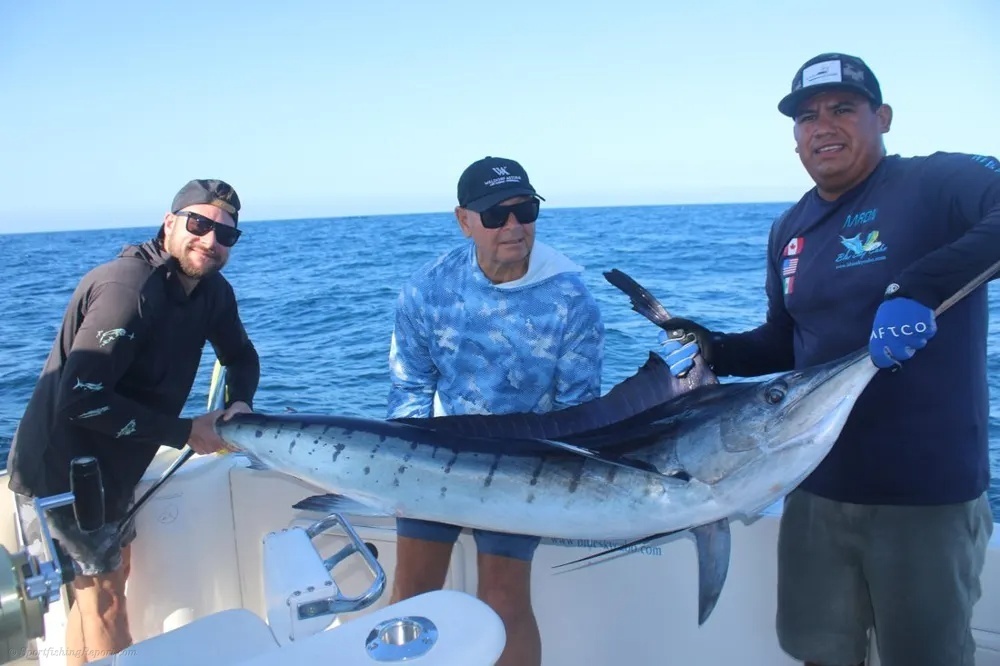 One Marlin, One Incredible Battle!