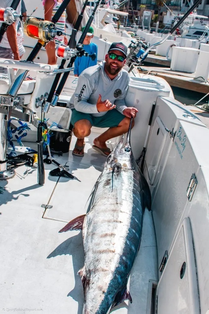 Marlin and Dorado – Rod-Bending Offshore Action