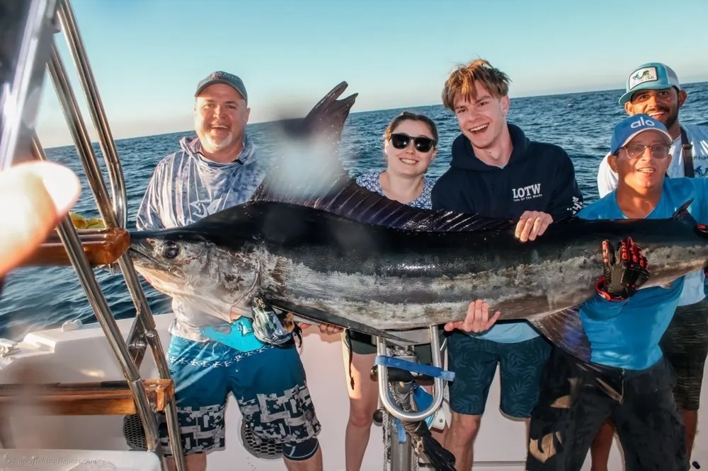 Marlin and Tuna Make the Ultimate Combination