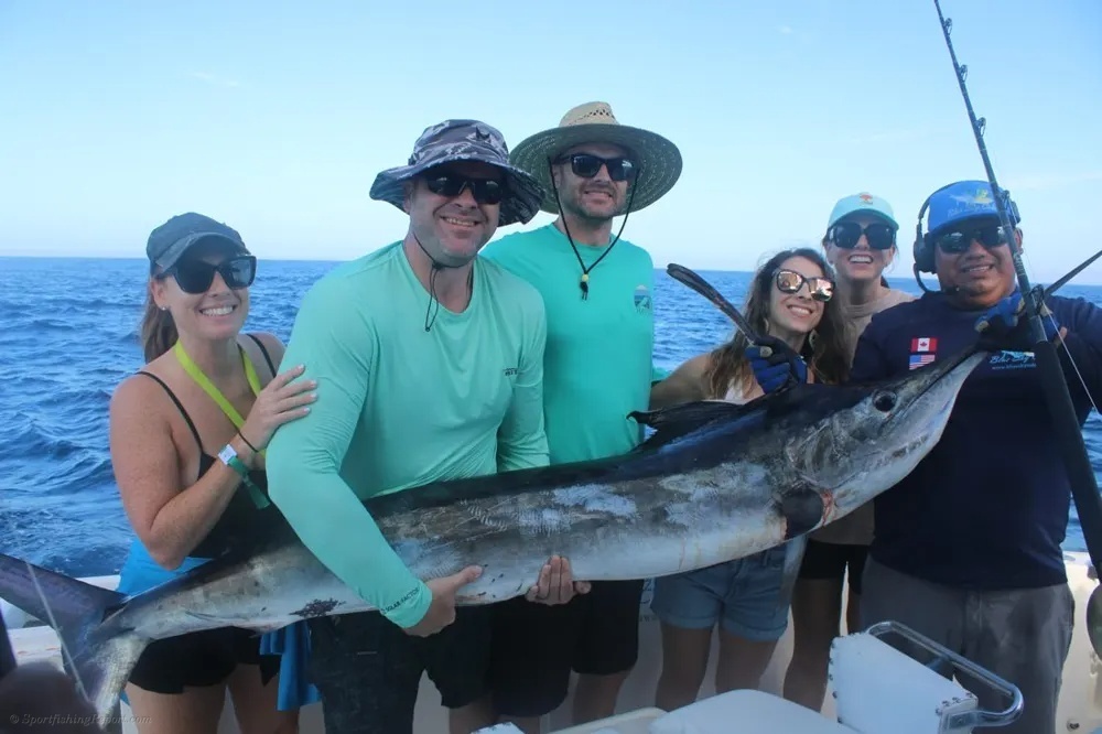 Cabo Marlin Action Hits Overdrive!