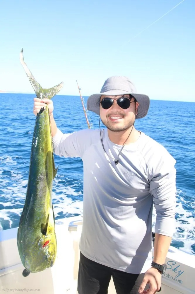 Cabo Dorado Action in Living Color!