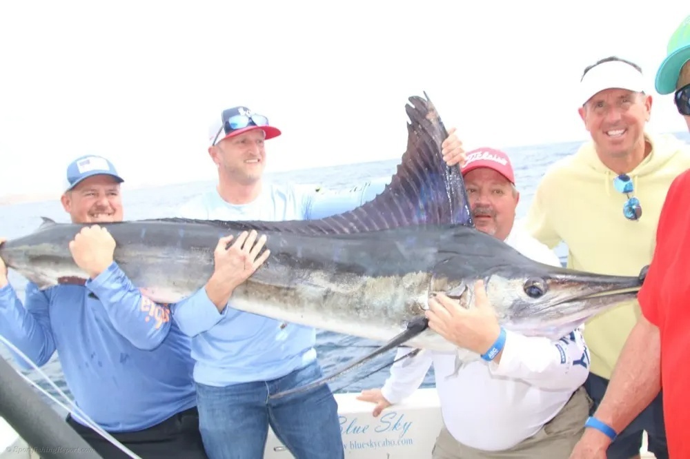 Big Marlin Rewards Offshore