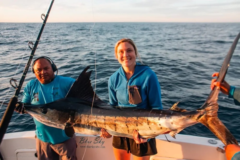 Cabo's Offshore Success