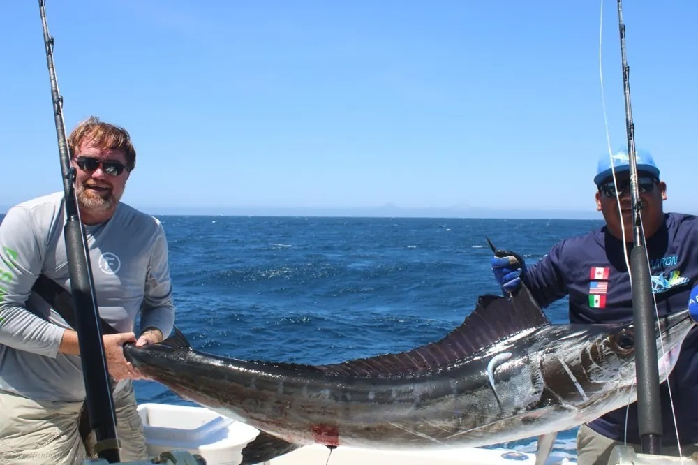 Marlin Adventure Beyond the Shore