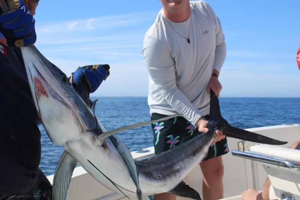Full Speed Into Fishing