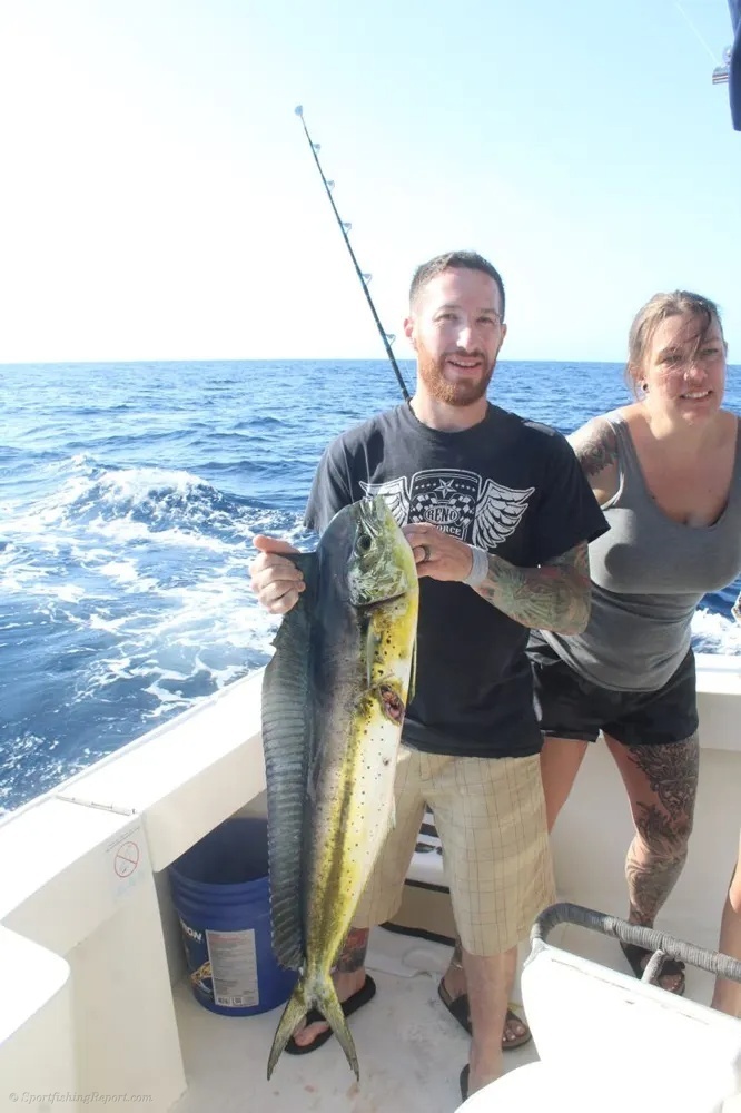 Marlin and Dorado – The Big-Game Double Dream