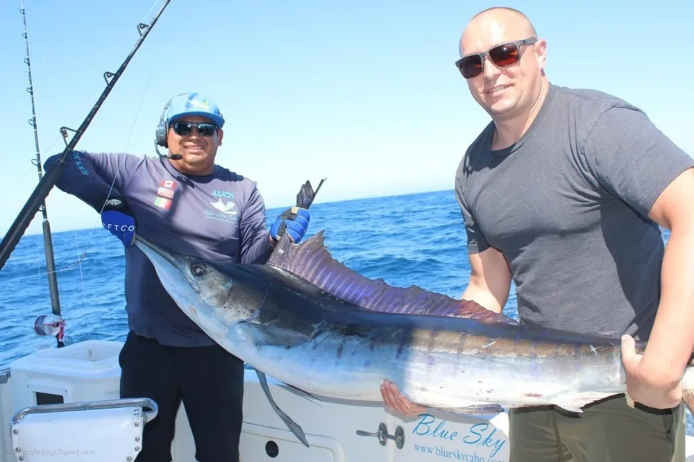 Marlin Bring Offshore Fishing to Life
