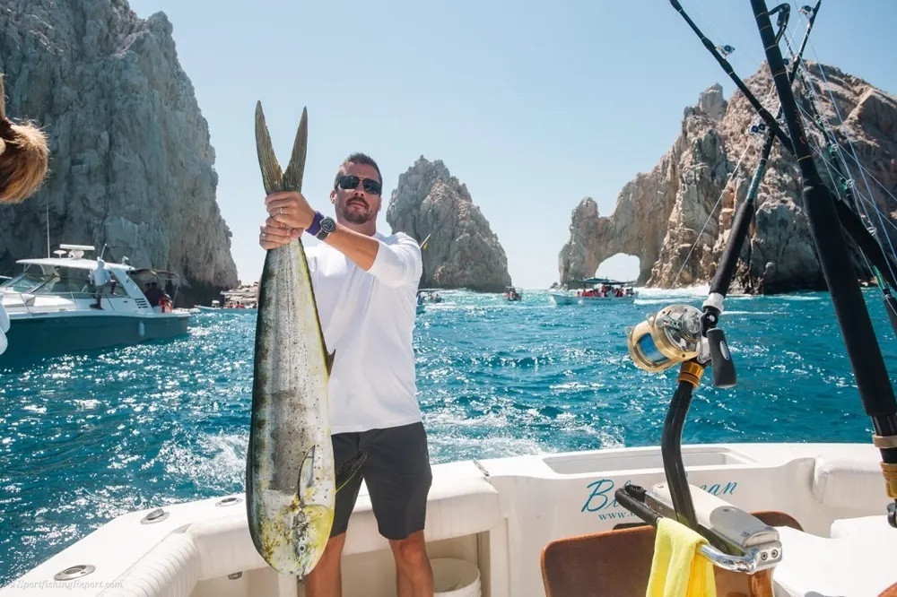 Golden Dorado Brings Cabo to Life!