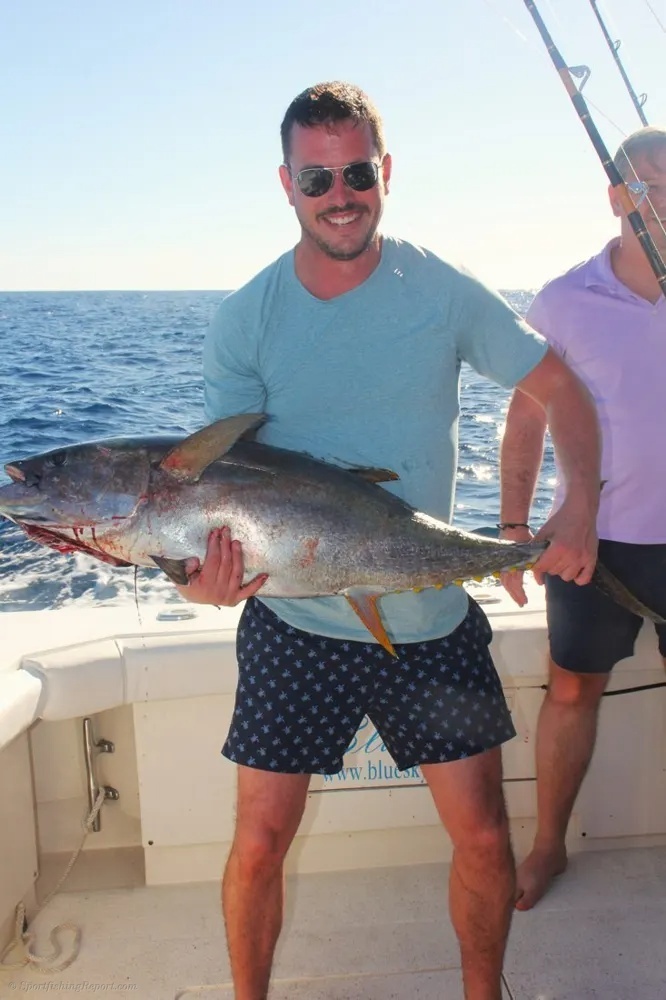 Tuna Action Brings the Ocean to Life