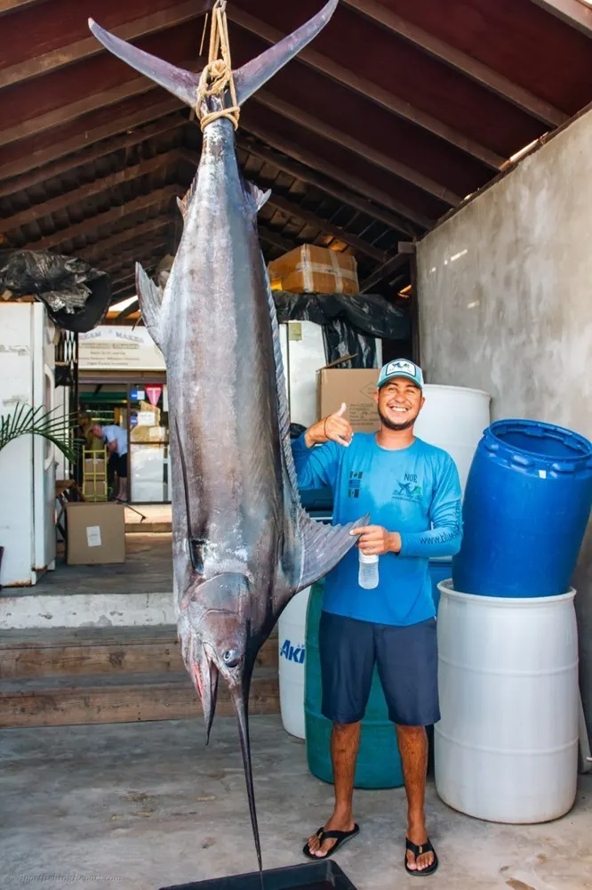 Cabo Marlin Goes Absolutely Wild!