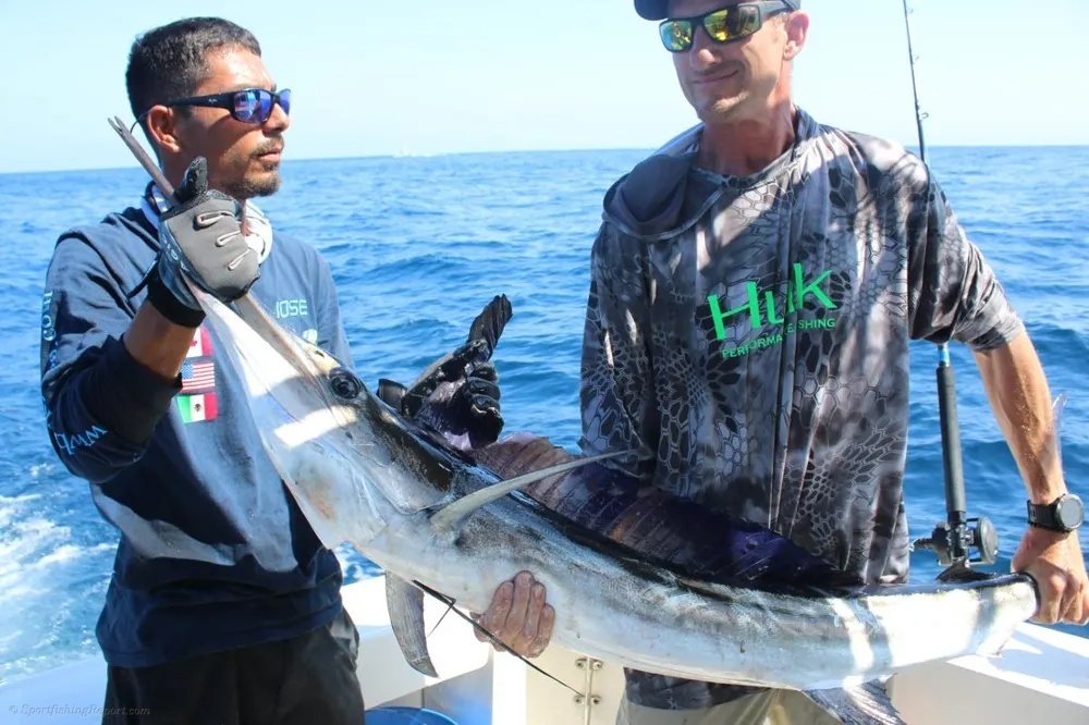 Cabo Delivers an Exciting Marlin!