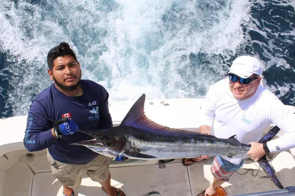 Success on the Open Water