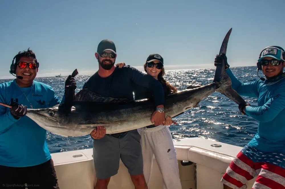 Cabo's Catching Momentum
