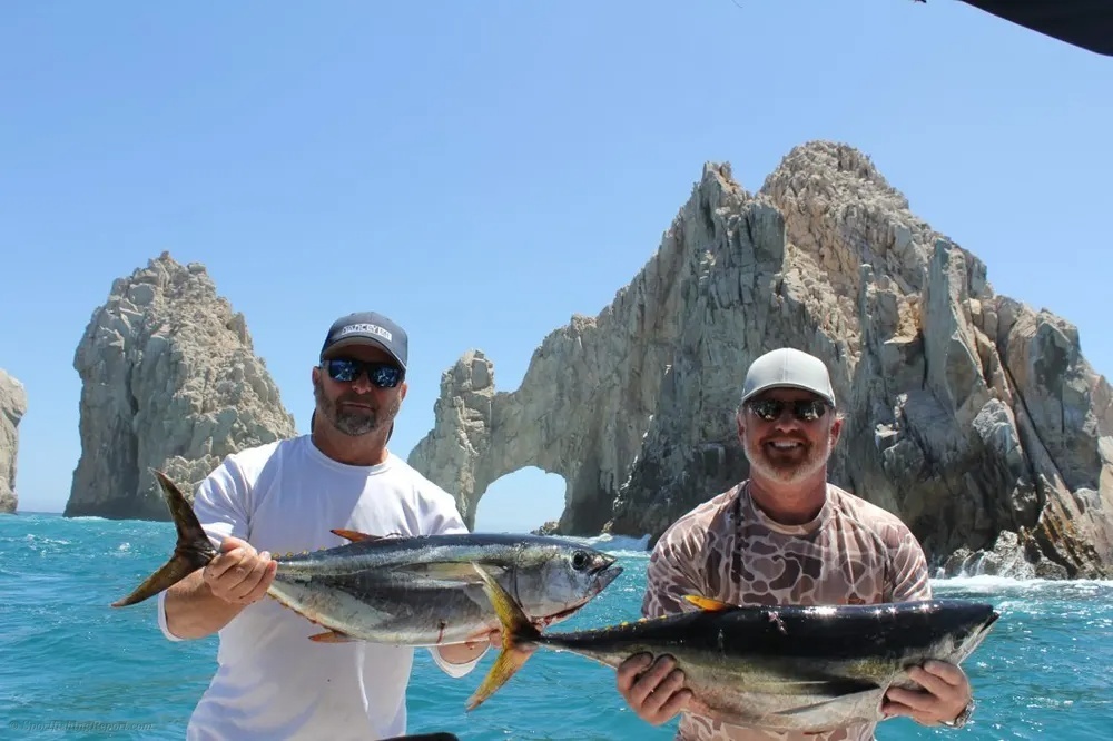 Yellowfin Tuna Put the Reels to Work