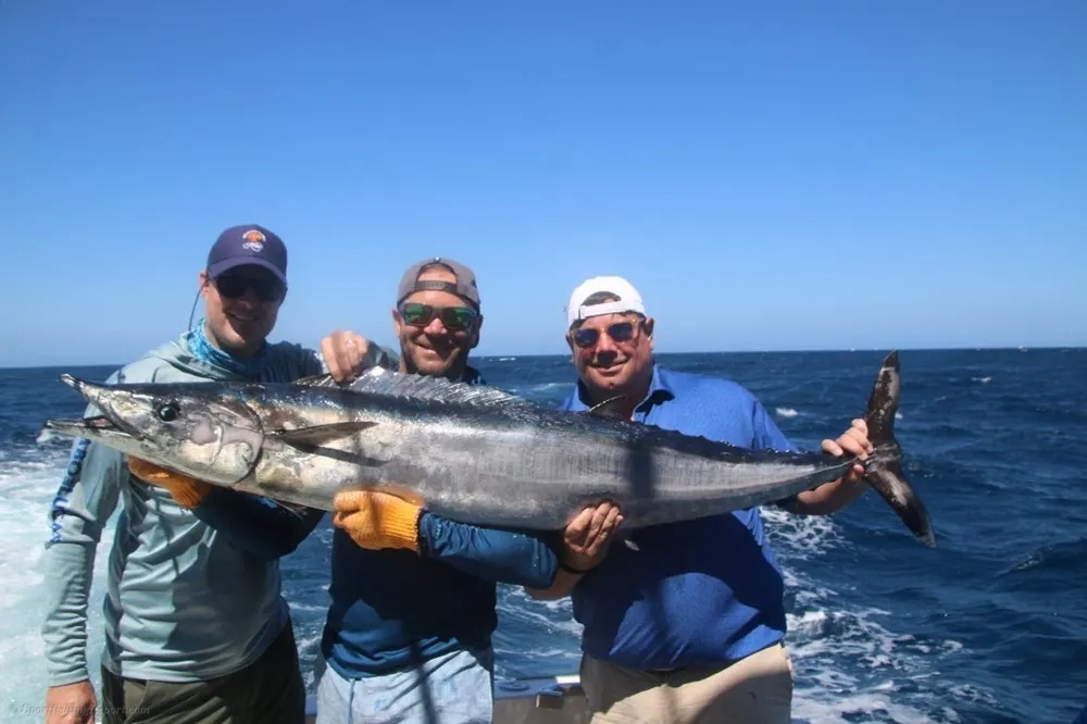 Wahoo Madness Strikes Cabo!
