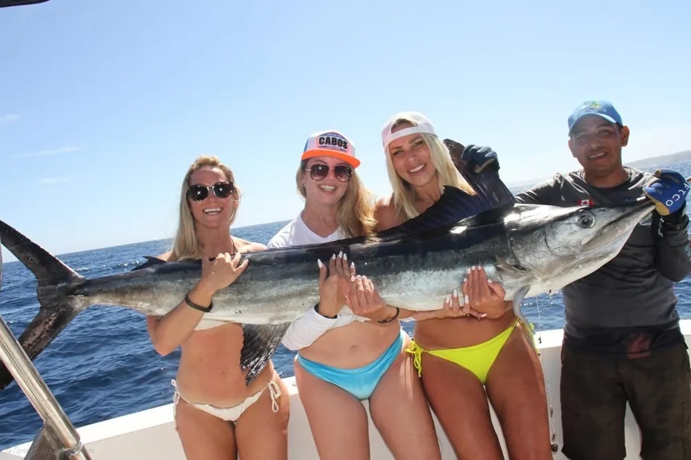 Marlin excitement Beyond the Marina