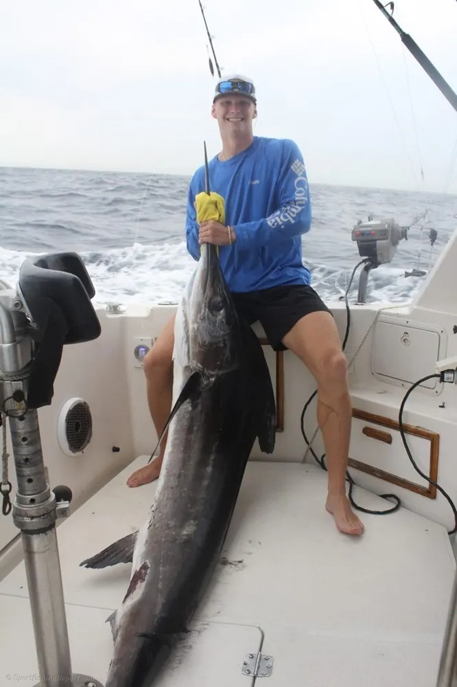Marlin! Cabo Goes Absolutely Wild!