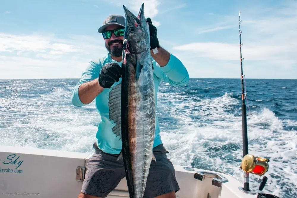 Dorado and Wahoo Adventure Begins in Cabo!