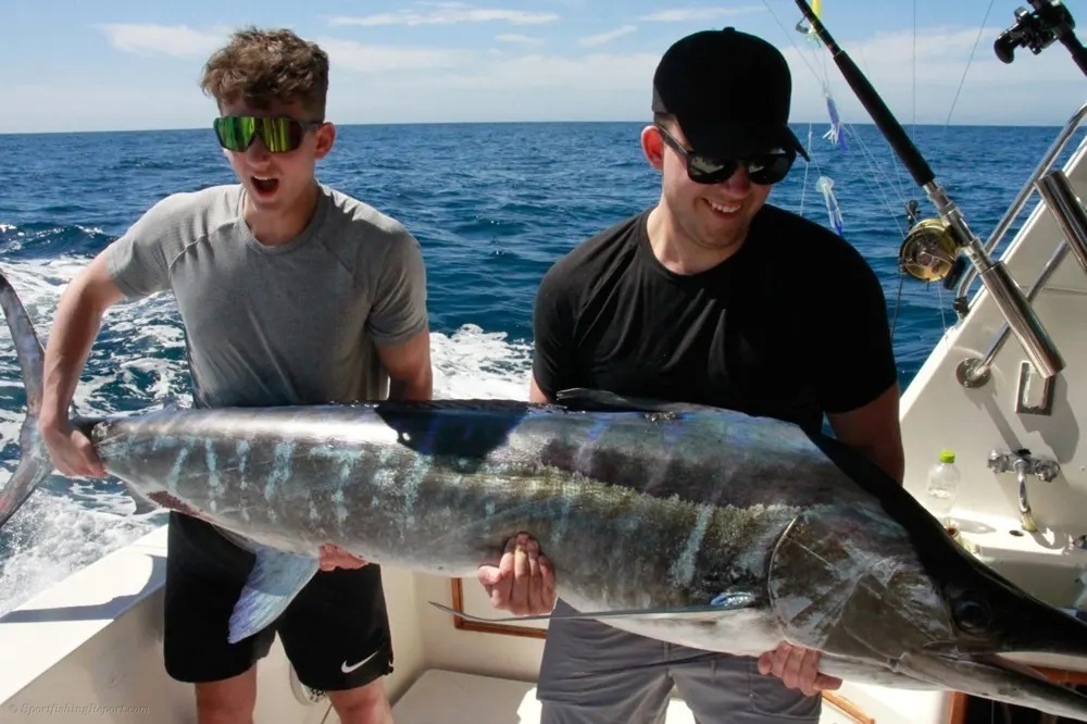 Two Marlin! Cabo Goes Absolutely Wild!