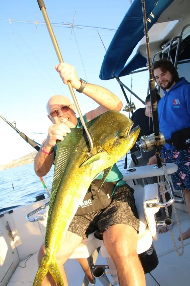 Cabo's Dorado Bite Turns Electric!