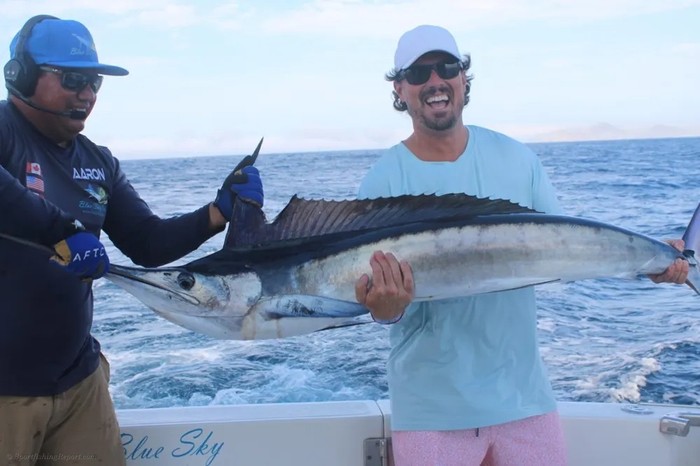 A Marlin Journey Full of Action