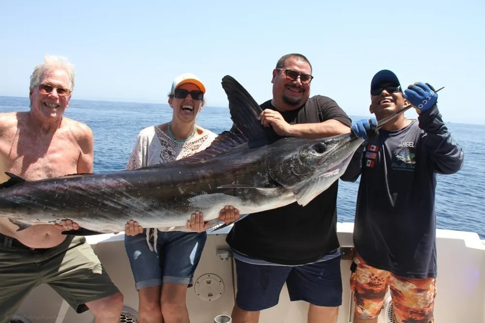 Offshore Double Delight – Marlin and Tuna