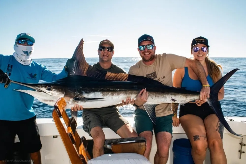 Action Across Cabo Waters