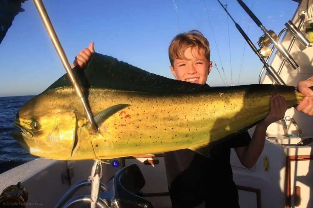 Cabo Tuna Bite Turns into a Thrilling Chase