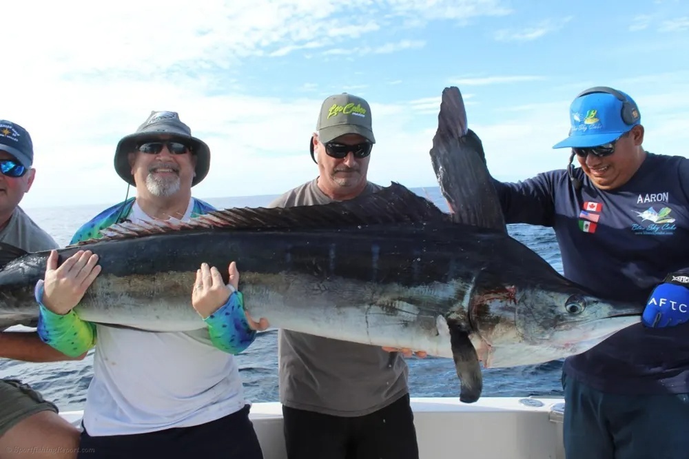 Two Offshore Favorites Make for an Exciting Cabo Catch