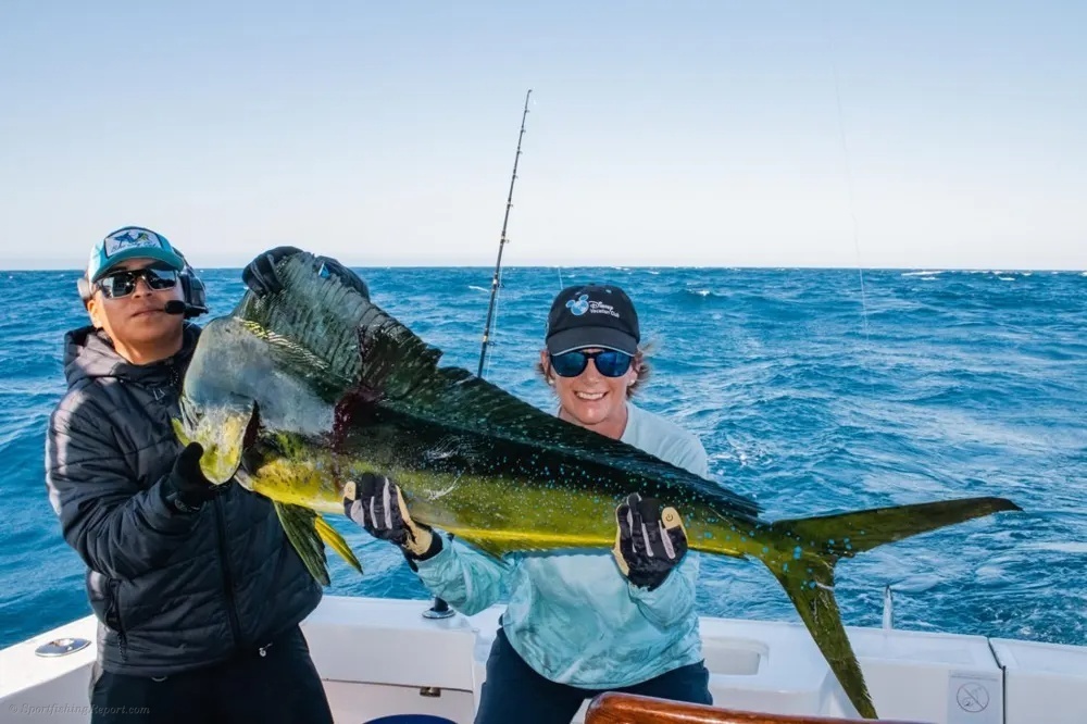 Marlin and Dorado – A Double Dose of Pacific Magic