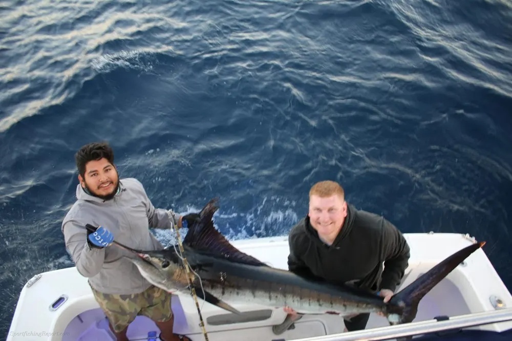 Marlin and Tuna Light Up the Pacific