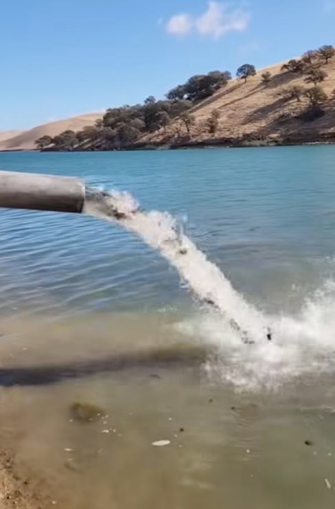 🎣 TROUT SEASON IS HERE! 🐟🔥