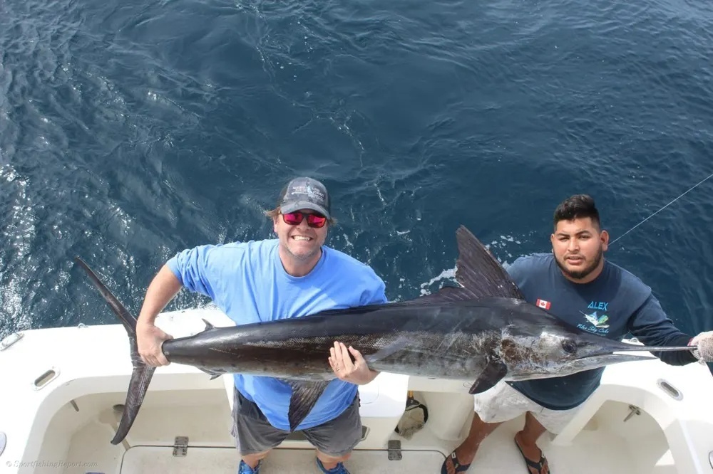 Cabo Waters Come Alive with Marlin