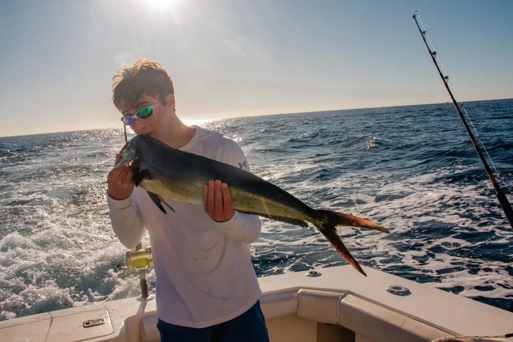Cabo Tuna Action Builds into a Showdown