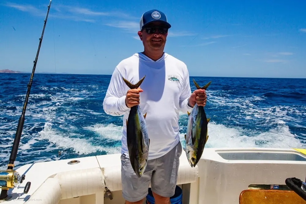Cabo Tuna Bite Brings the Fishing to Life