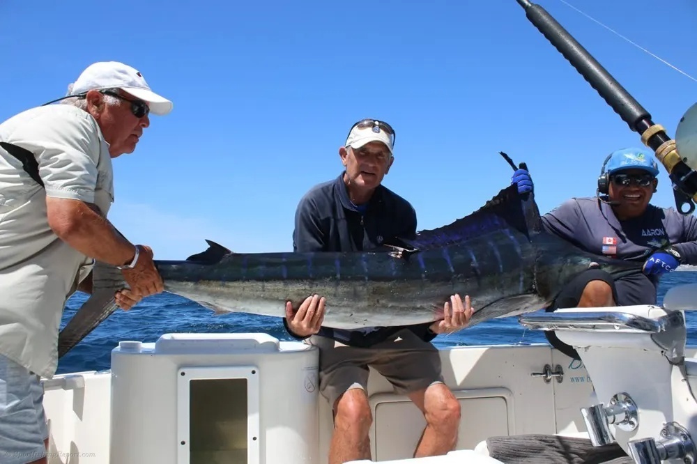 Cabo's Finest: A Marlin Story