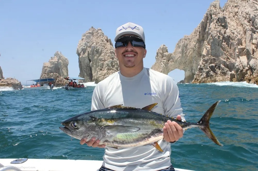 Tuna and Wahoo Make a Winning Cabo Combination