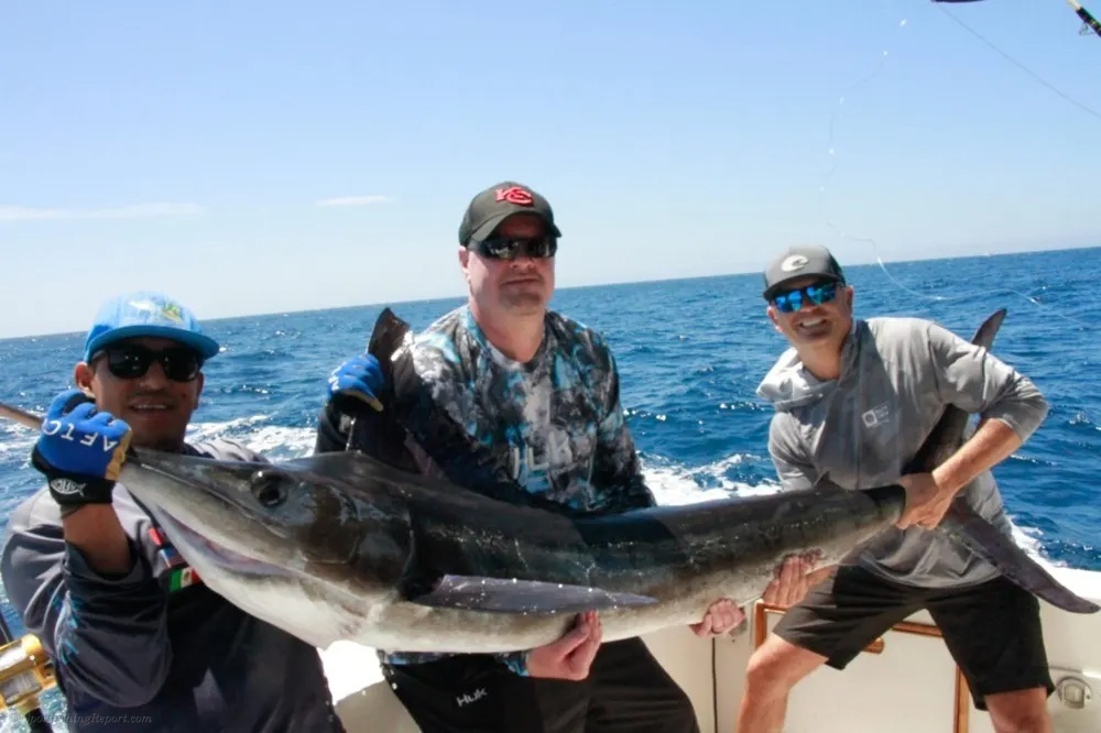 Marlin Rising in Cabo