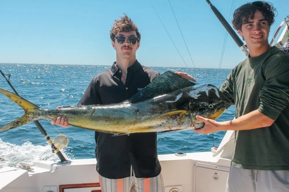 Dorado Action Unfolds Aboard Blue Sky Cabo!