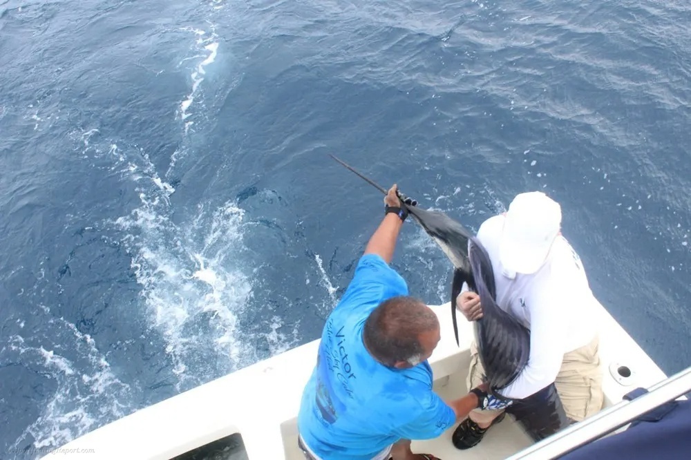 Fishing Success Continues