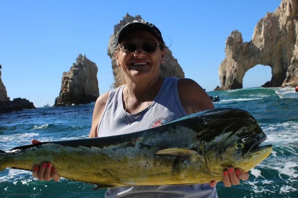 Marlin Leaps and Dorado Gold Explodes