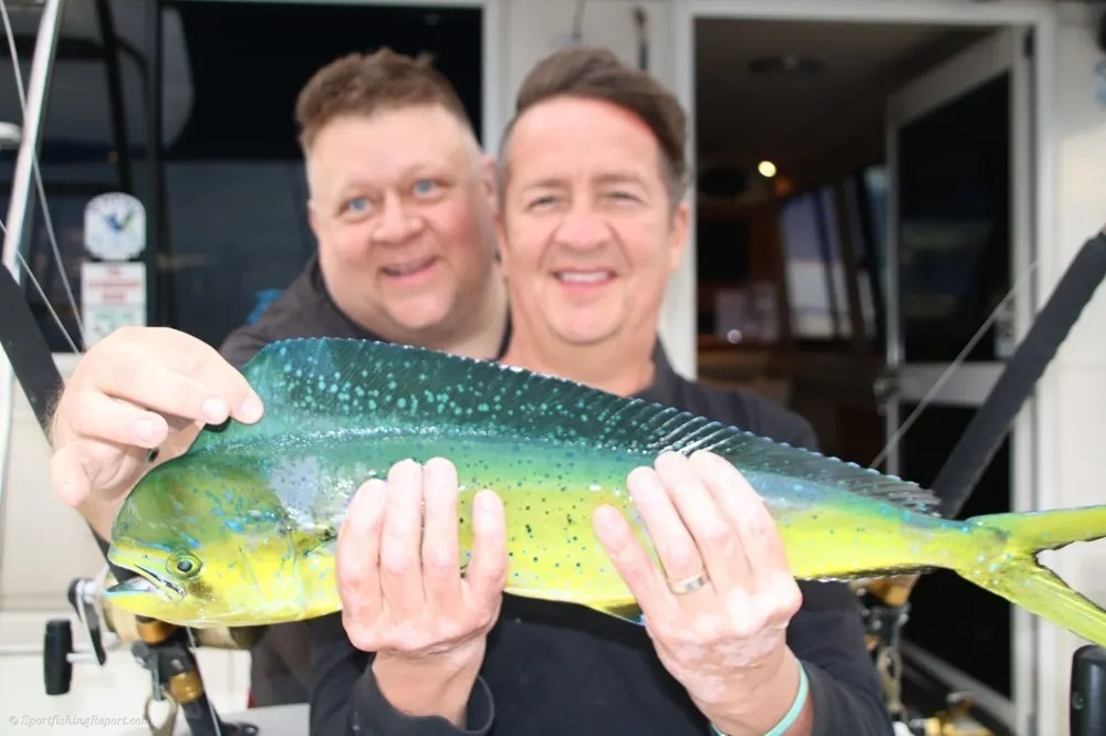 Marlin a Classic Offshore Battle