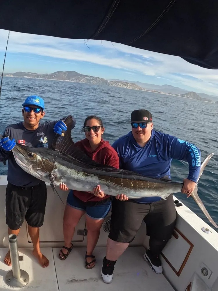 Classic Marlin Fishing off the Cabo Coast