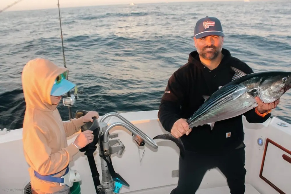 Yellowfin Tuna Make a Run for Deep Water