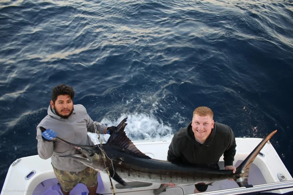 Marlin Bring the Heat to Cabo Waters