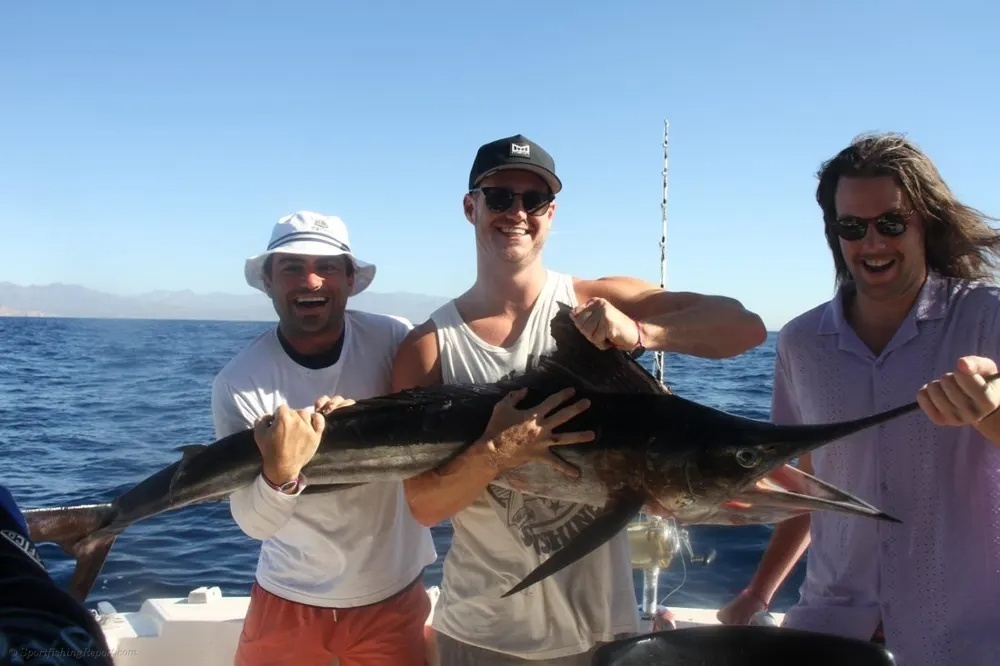Marlin Create an Electric Day Offshore